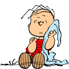 Security Blanket